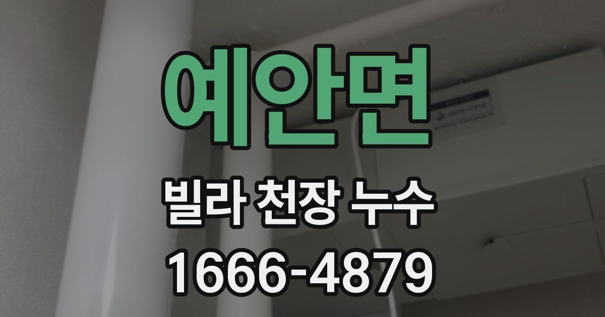 예안면 빌라 천장 누수