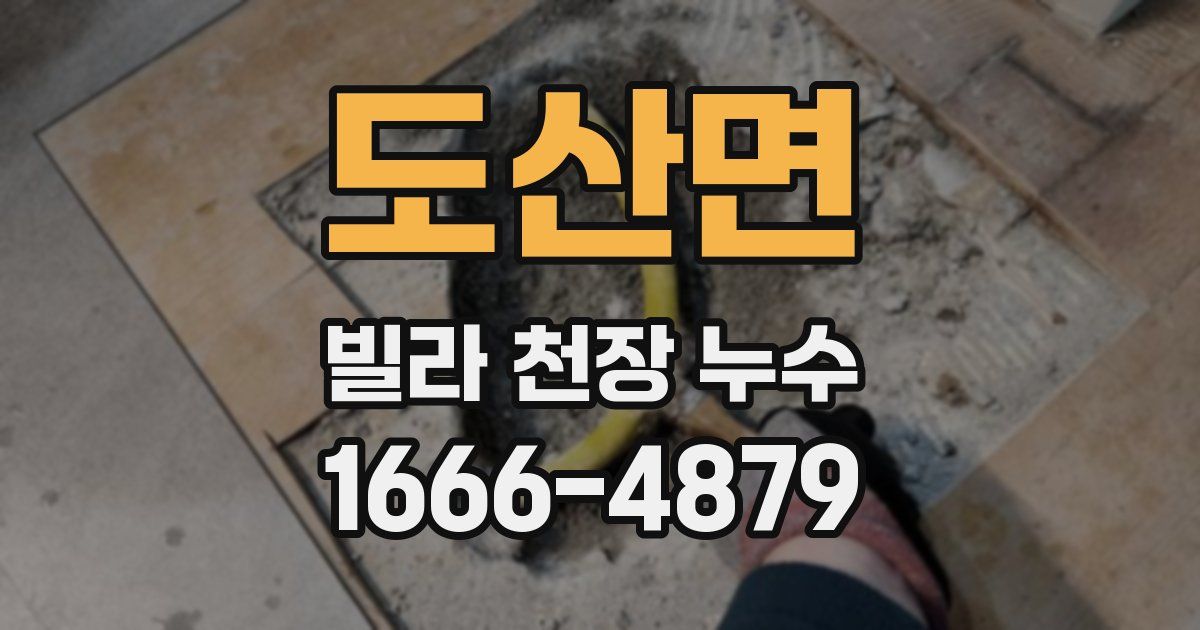 도산면 빌라 천장 누수