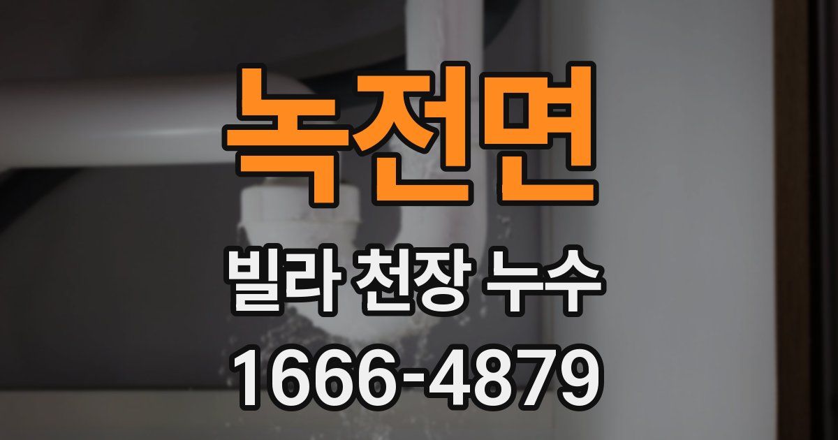 녹전면 빌라 천장 누수