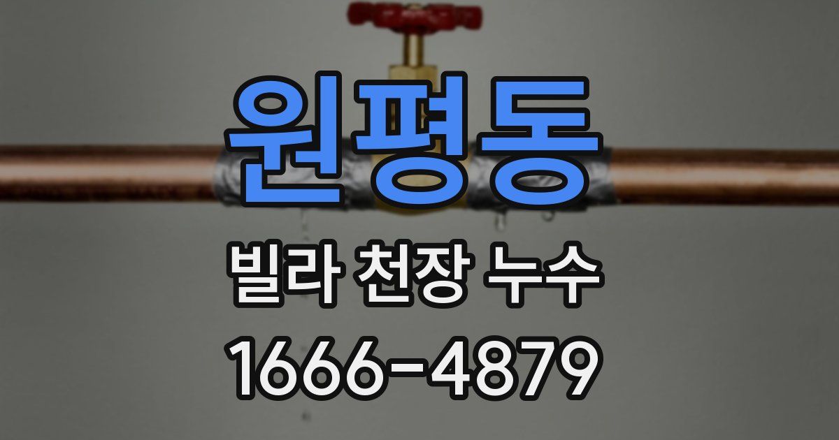 원평동 빌라 천장 누수