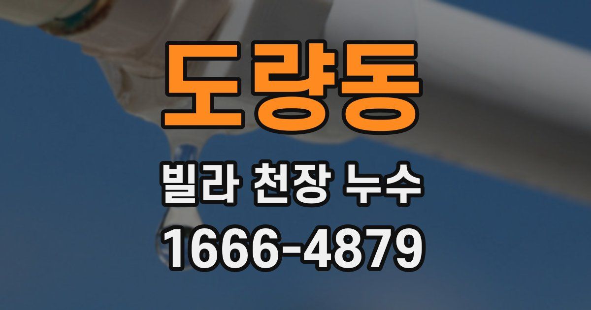 도량동 빌라 천장 누수