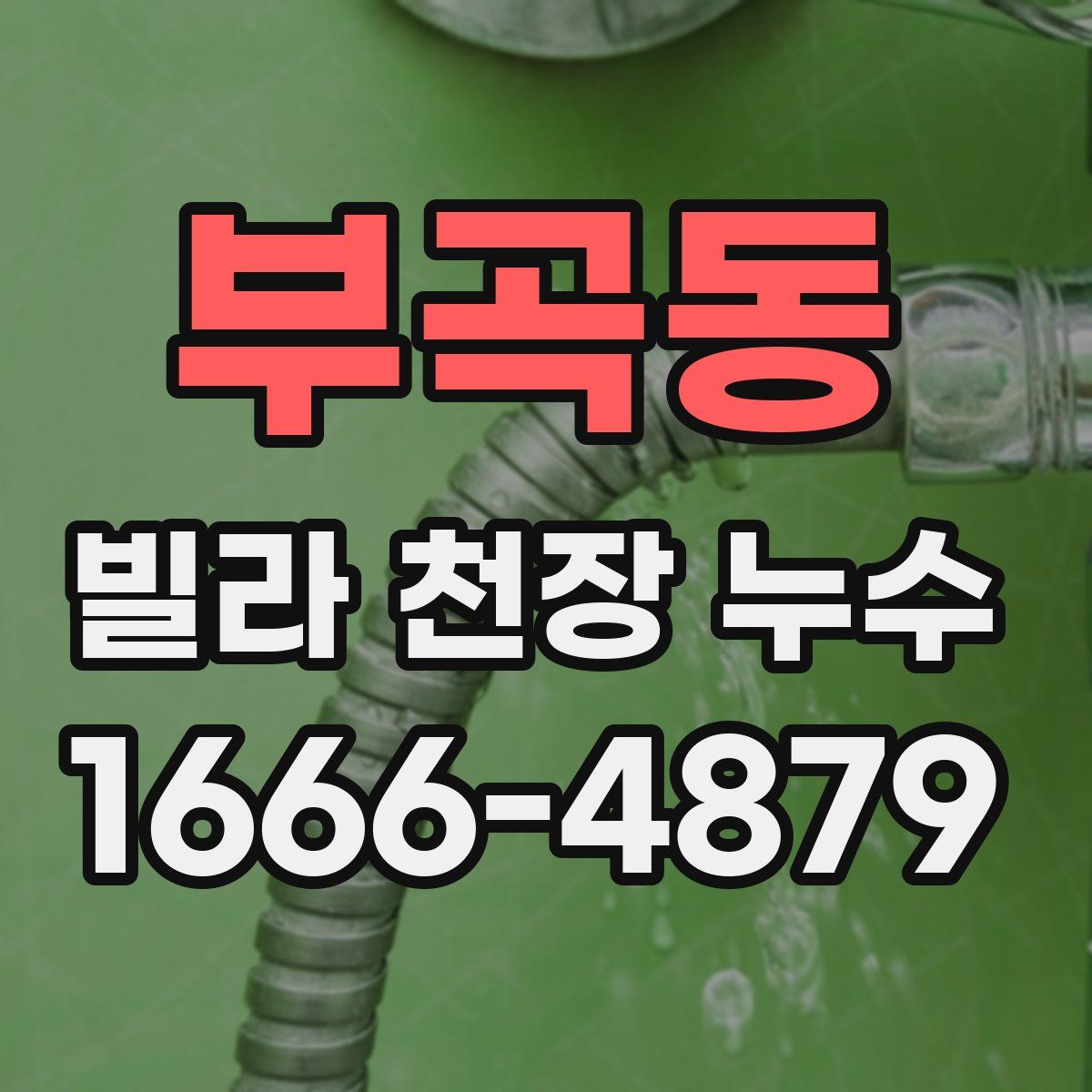 부곡동 빌라 천장 누수