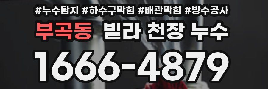 부곡동 빌라 천장 누수