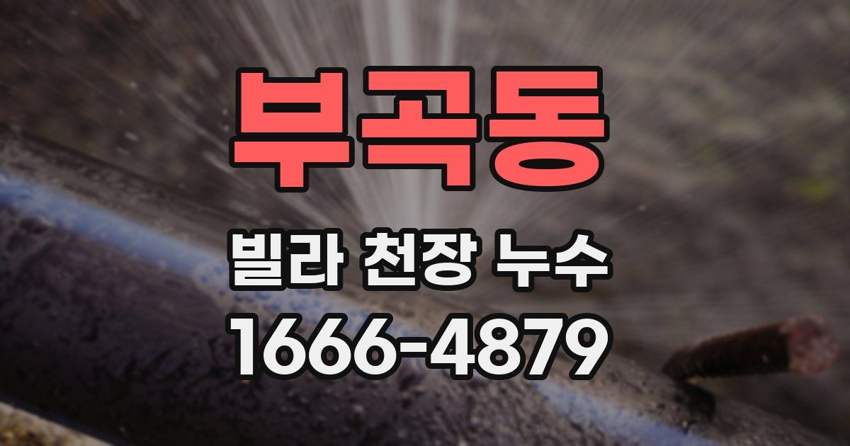 부곡동 빌라 천장 누수