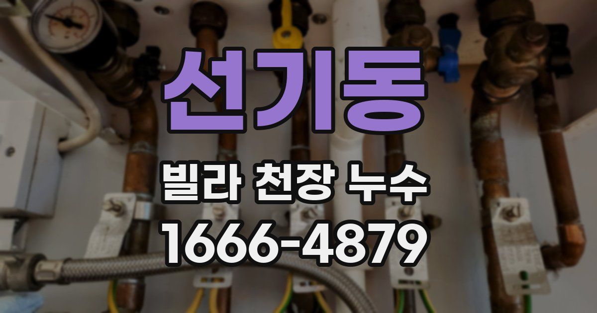 선기동 빌라 천장 누수