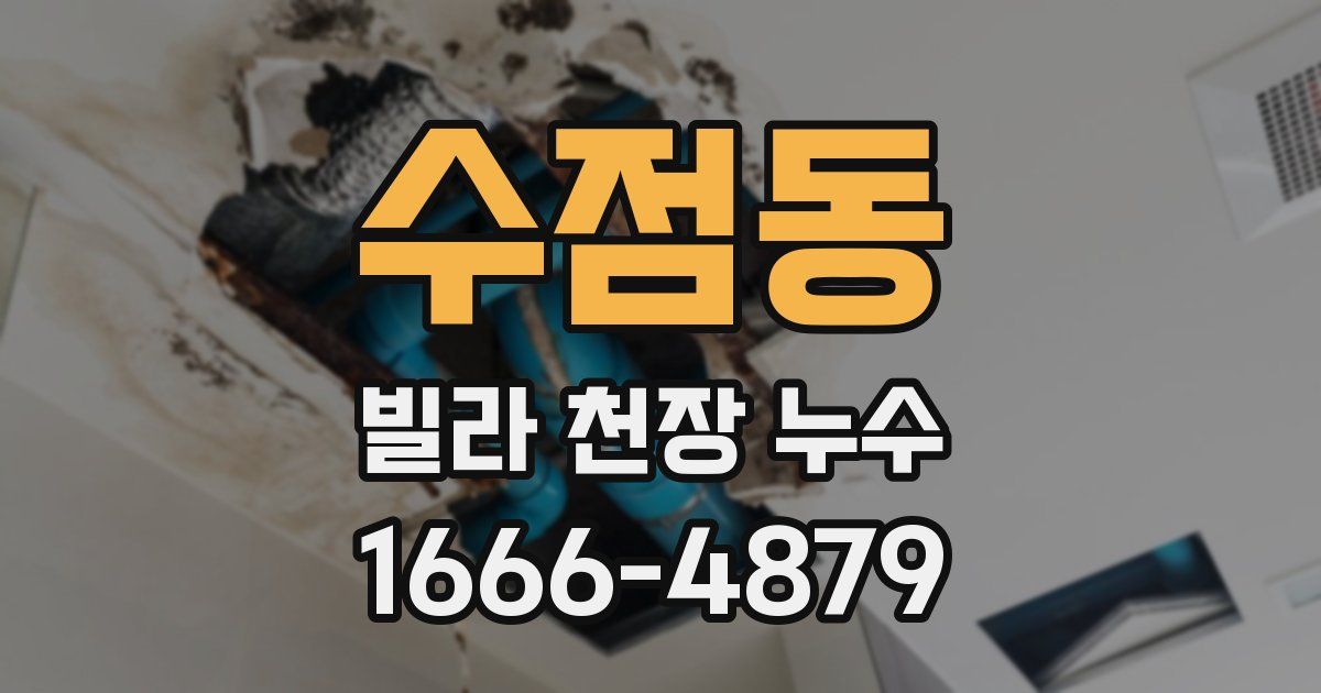 수점동 빌라 천장 누수