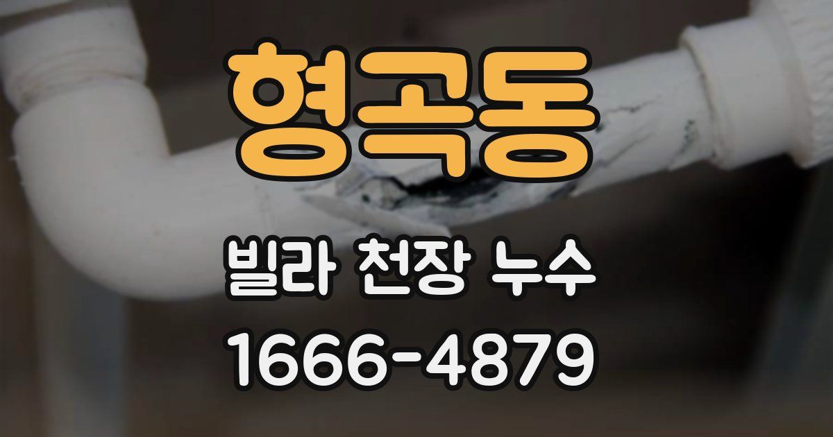 형곡동 빌라 천장 누수