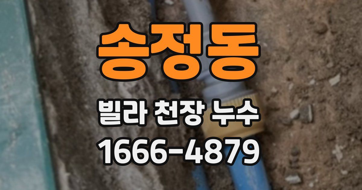 송정동 빌라 천장 누수