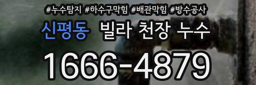 신평동 빌라 천장 누수