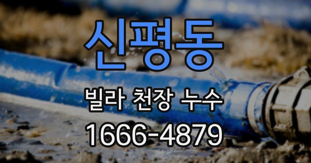 신평동 빌라 천장 누수