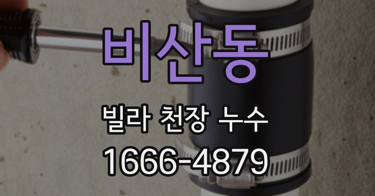 비산동 빌라 천장 누수