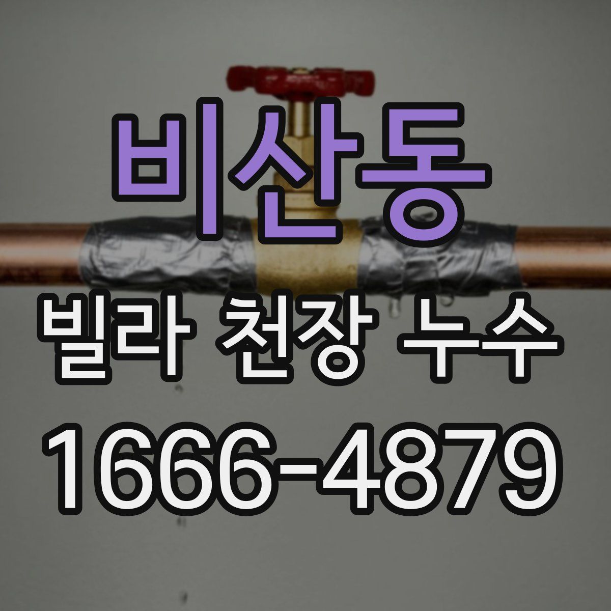 비산동 빌라 천장 누수
