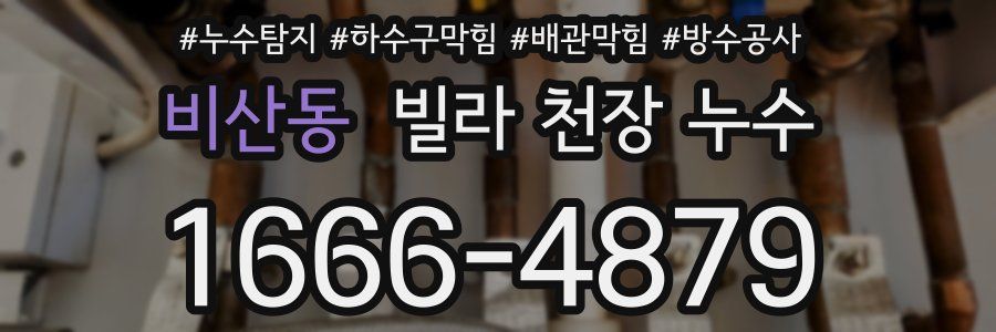 비산동 빌라 천장 누수