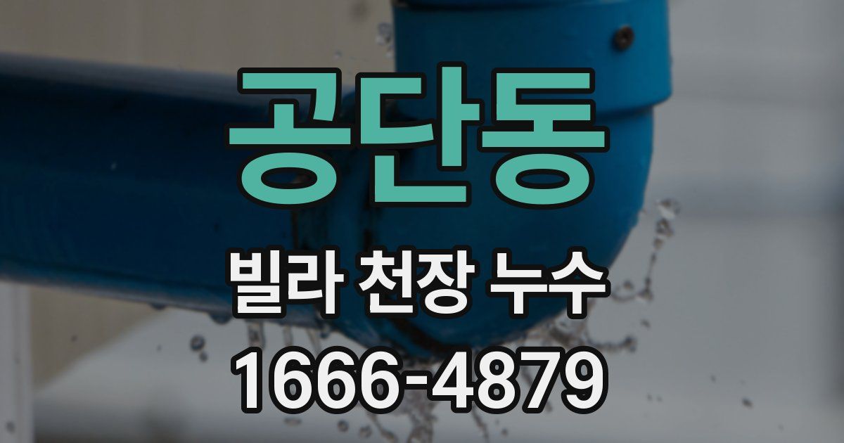 공단동 빌라 천장 누수
