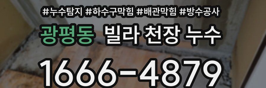 광평동 빌라 천장 누수