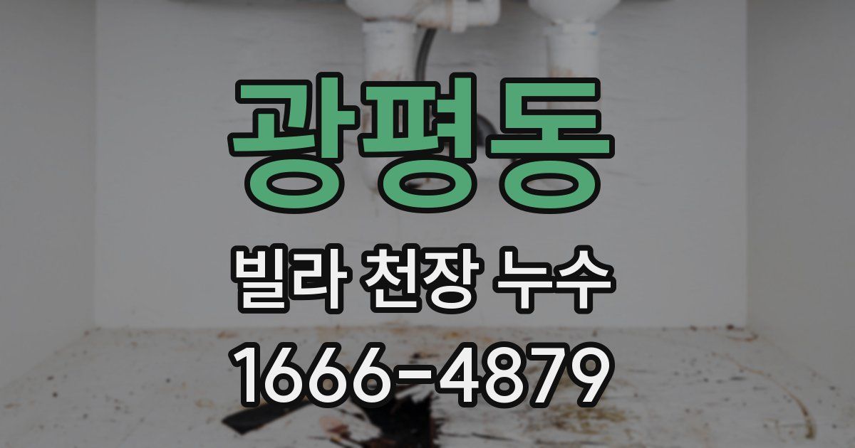 광평동 빌라 천장 누수