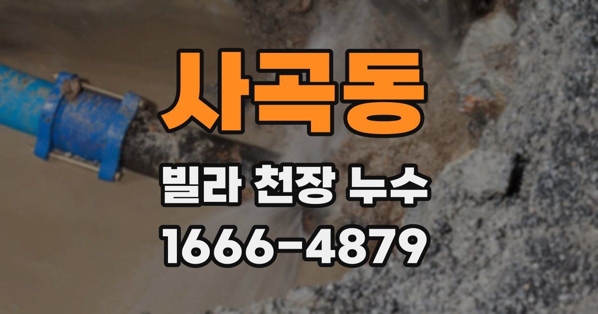 사곡동 빌라 천장 누수