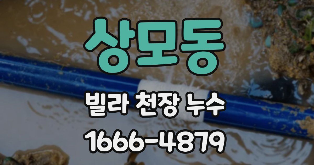 상모동 빌라 천장 누수