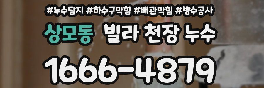 상모동 빌라 천장 누수