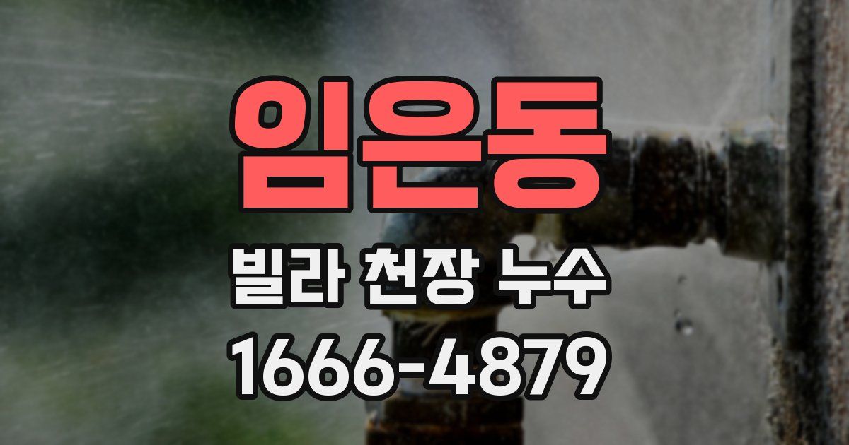 임은동 빌라 천장 누수