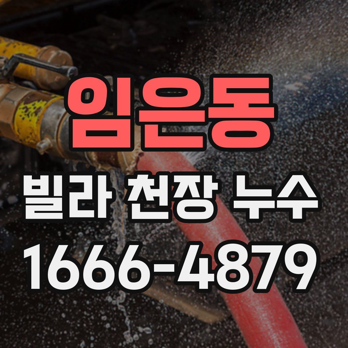 임은동 빌라 천장 누수