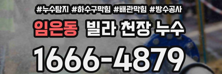 임은동 빌라 천장 누수