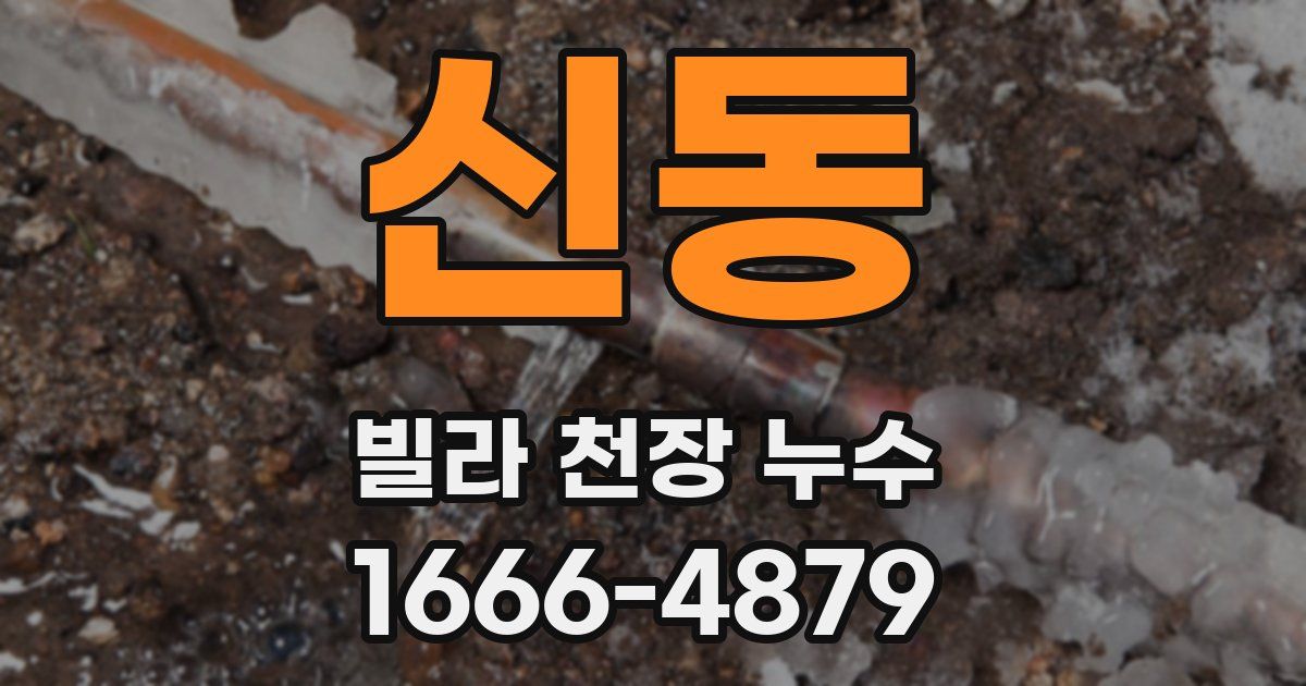 신동 빌라 천장 누수