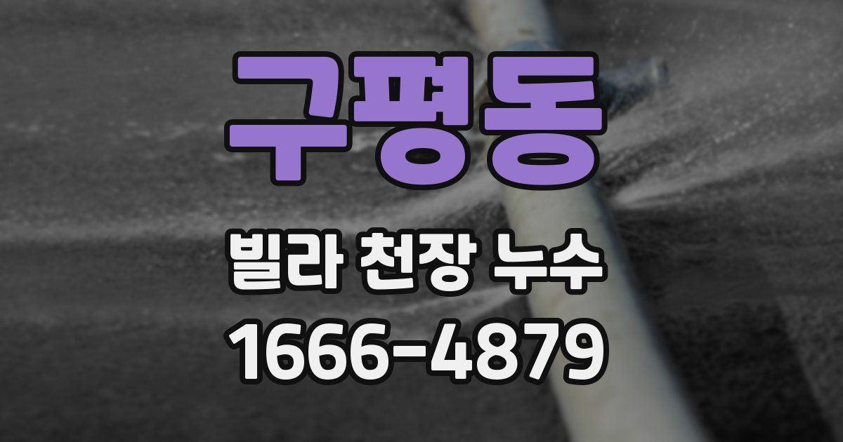 구평동 빌라 천장 누수