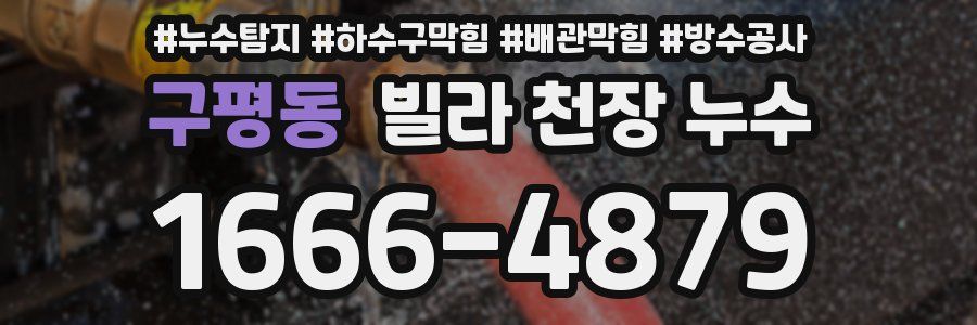 구평동 빌라 천장 누수