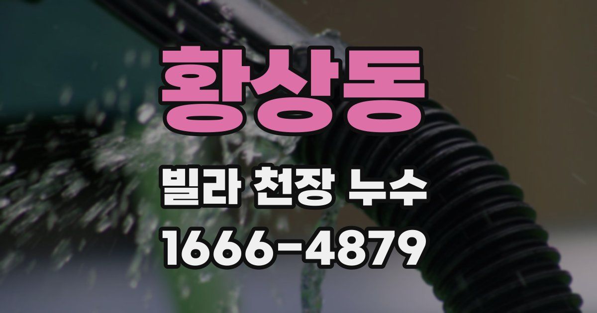 황상동 빌라 천장 누수