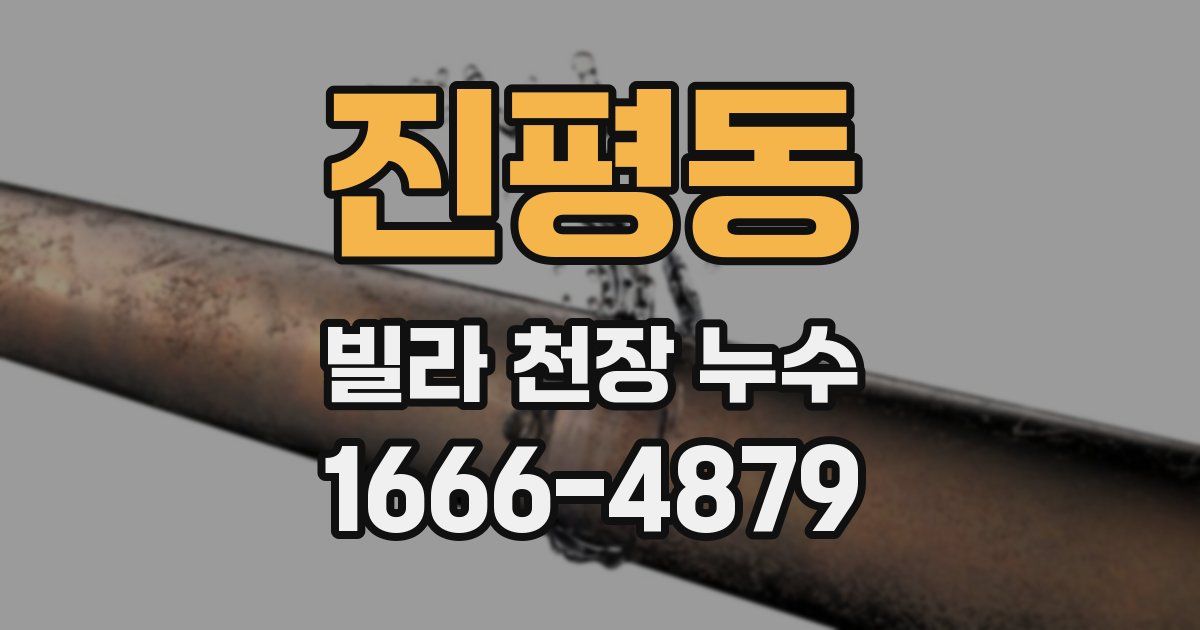 진평동 빌라 천장 누수