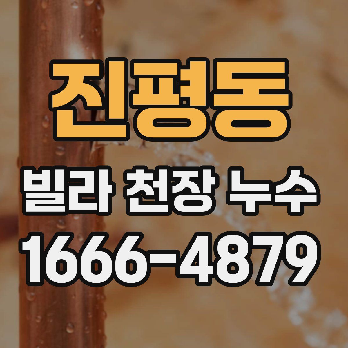 진평동 빌라 천장 누수