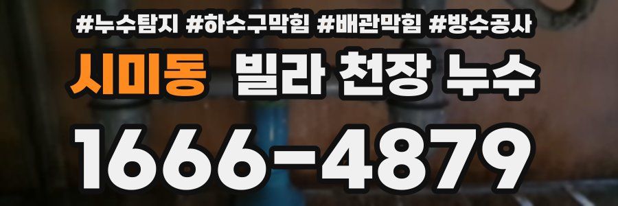 시미동 빌라 천장 누수
