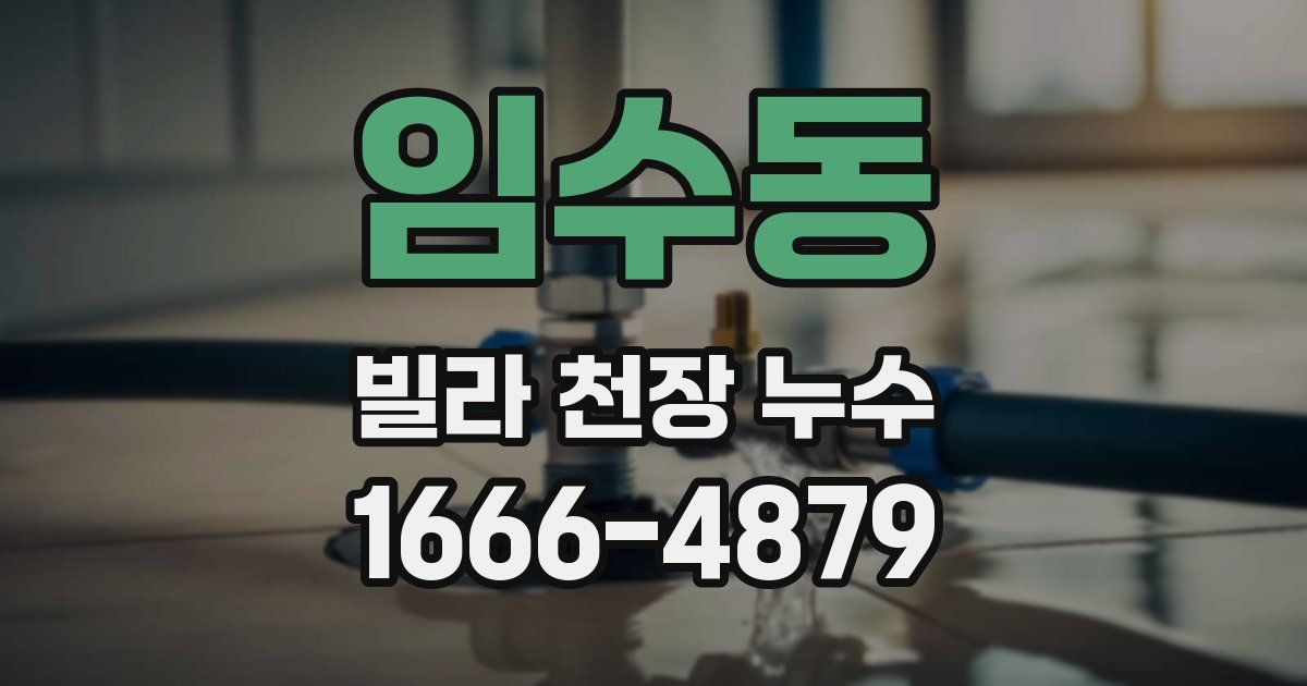 임수동 빌라 천장 누수