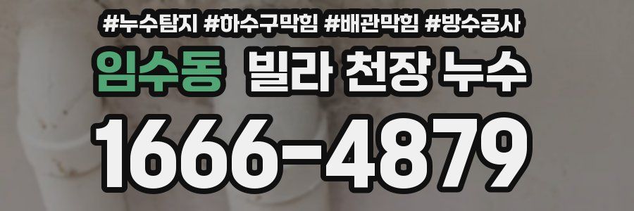 임수동 빌라 천장 누수