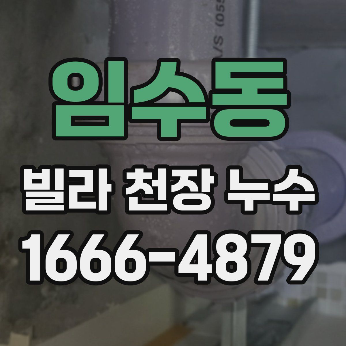 임수동 빌라 천장 누수