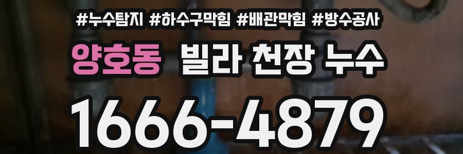 양호동 빌라 천장 누수