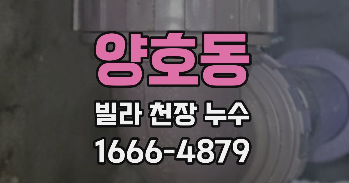 양호동 빌라 천장 누수