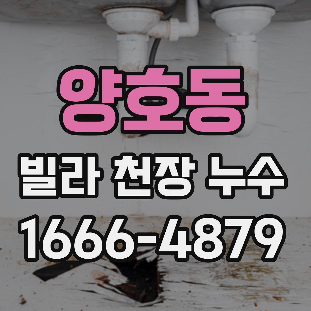 양호동 빌라 천장 누수