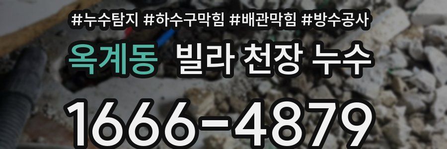 옥계동 빌라 천장 누수