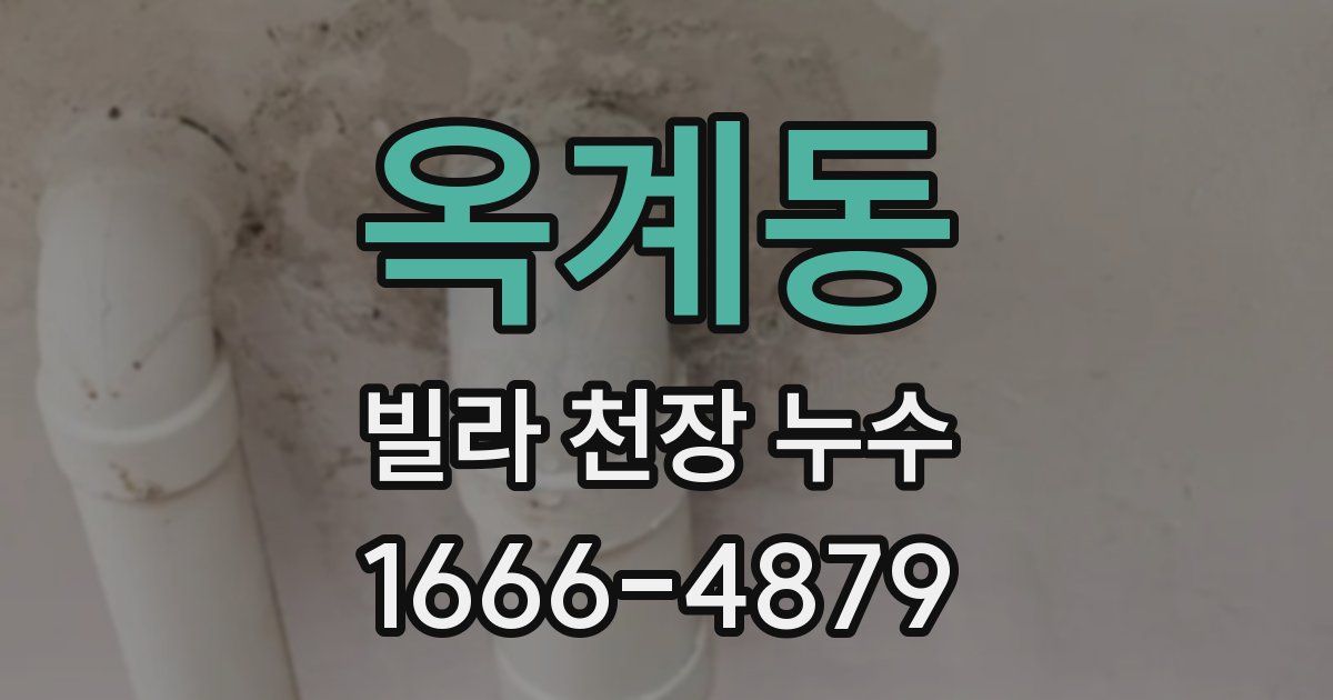 옥계동 빌라 천장 누수