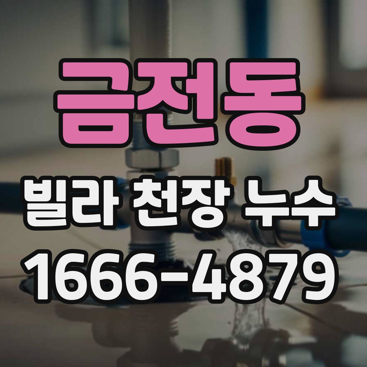 금전동 빌라 천장 누수