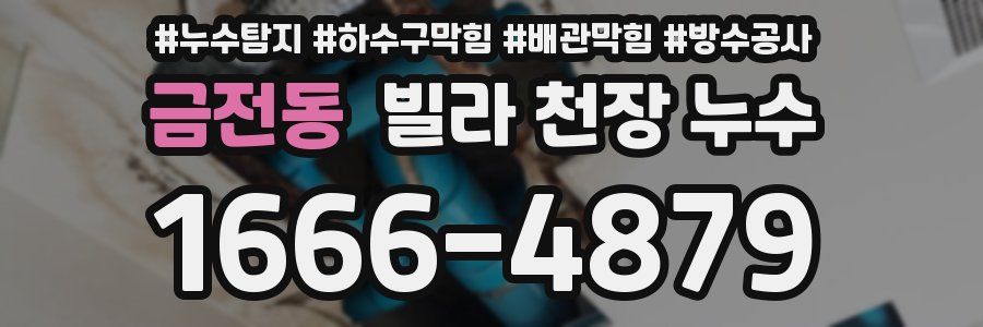 금전동 빌라 천장 누수