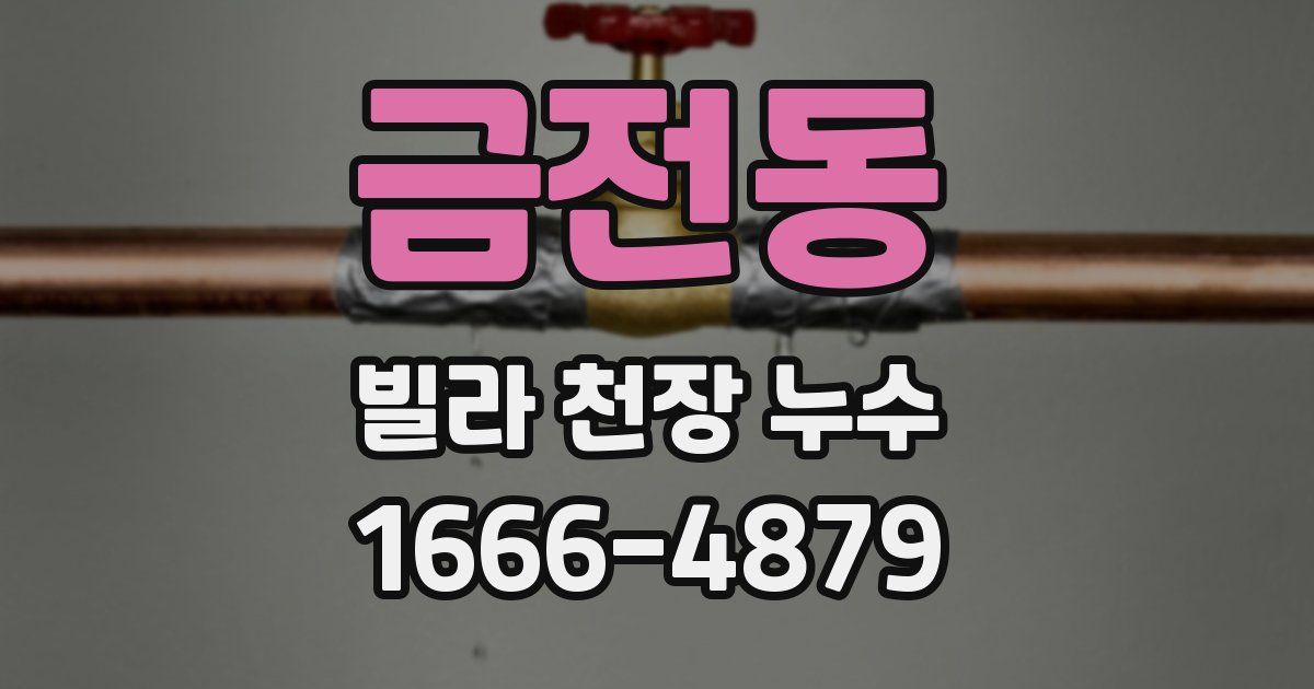 금전동 빌라 천장 누수