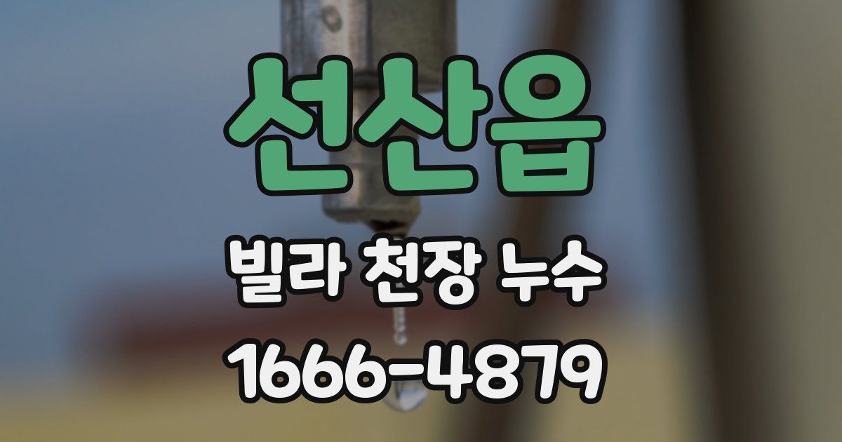 선산읍 빌라 천장 누수