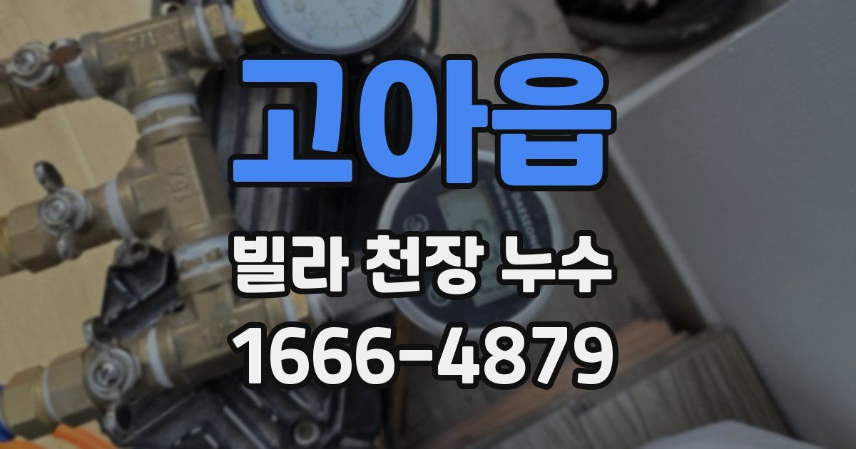 고아읍 빌라 천장 누수