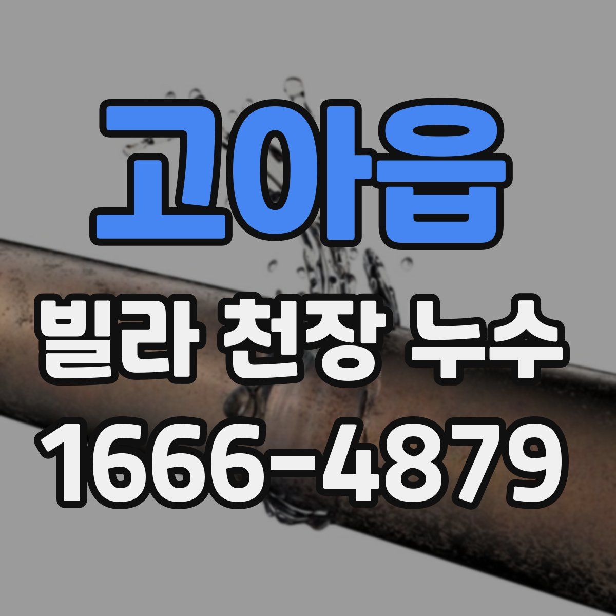 고아읍 빌라 천장 누수