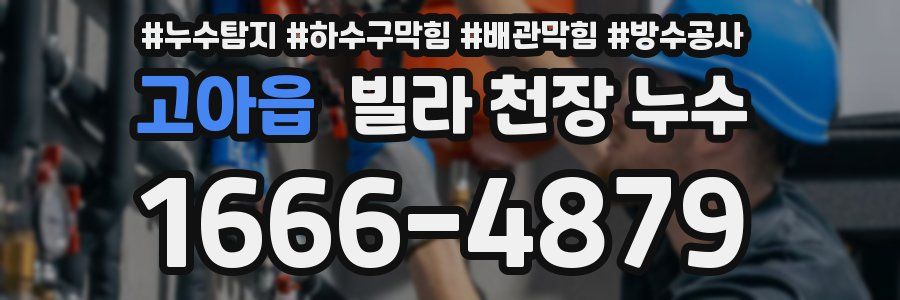 고아읍 빌라 천장 누수