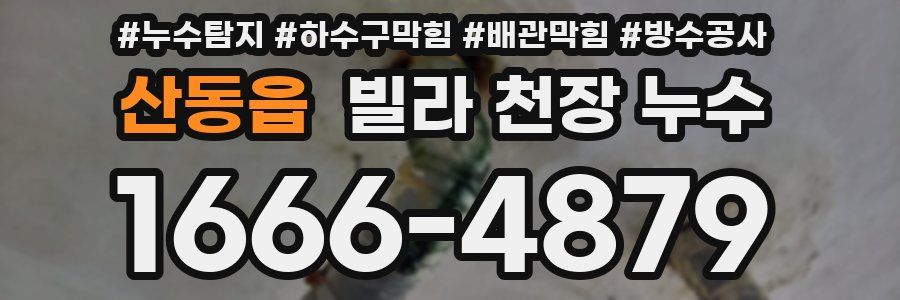 산동읍 빌라 천장 누수