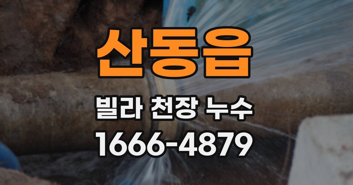 산동읍 빌라 천장 누수